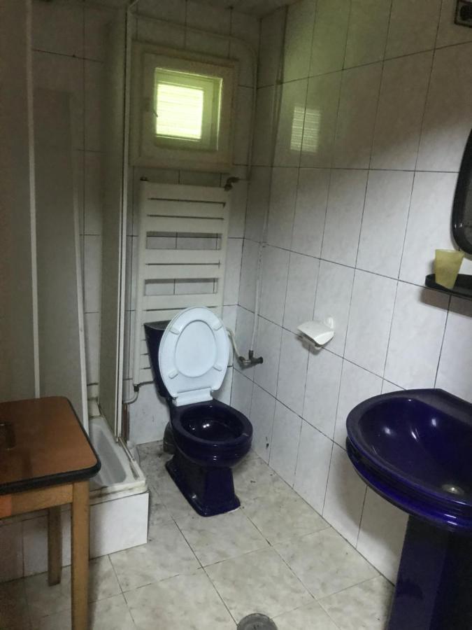 نزل سوفيجافي Casa Postolache المظهر الخارجي الصورة